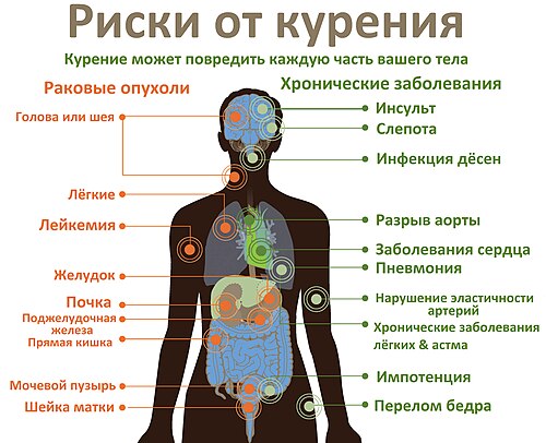 Аниме о курящей кошке запретили в Гонконге и на Тайване, и Японии пришлось задуматься о собственных правилах Аниме Yani Neko (дословно — «Курящая кошка», в русском дубляже "Табакошка") за одно лето прошло путь от одного из самых странных хитов сезона до международного скандала. В Японии сериал о кошкодевушке, которая курит одну сигарету за другой, стал настоящим открытием. А за рубежом его главная особенность — табак, причём в узнаваемых пачках, — столкнулась с местными законами о рекламе курения. В итоге показ остановили в Гонконге, ряд платформ убрал сериал на Тайване, а в самой Японии жалобы зрителей разбирала комиссия по этике вещания.